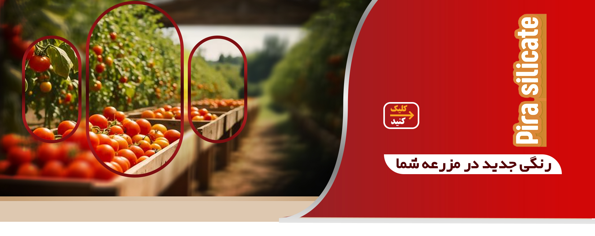  سیلیکات پتاسیم  پیرا