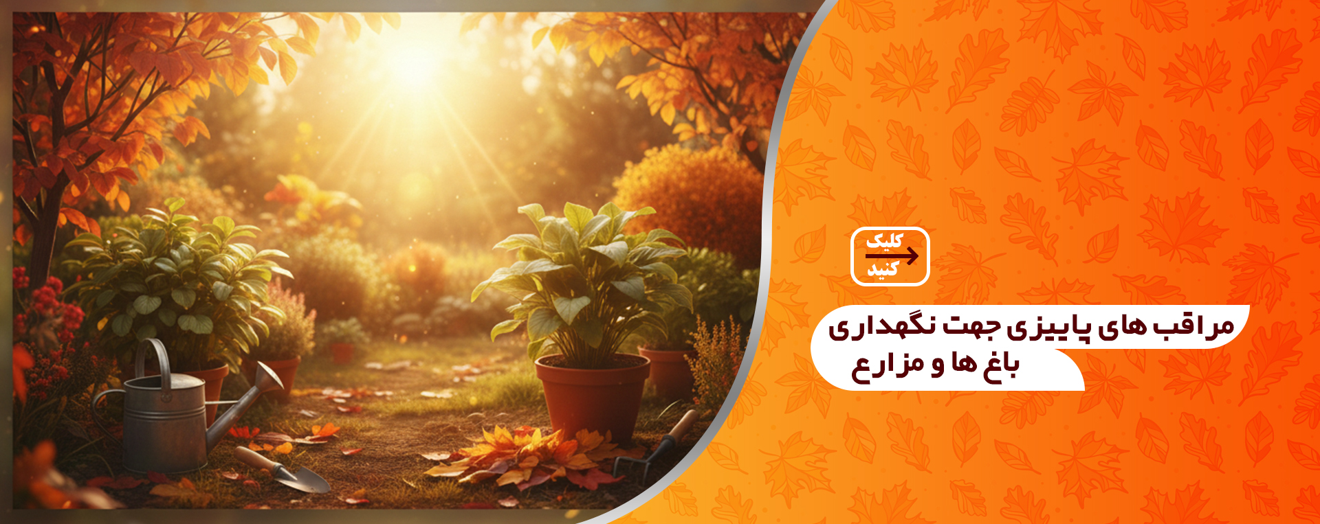 مراقبت های پاییزی