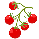 tomato