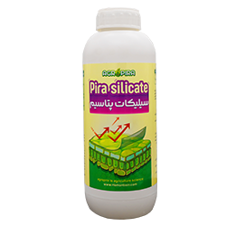 سیلیکات پتاسیم